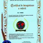 certificatinfo