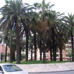 7.Imagini din Taragona