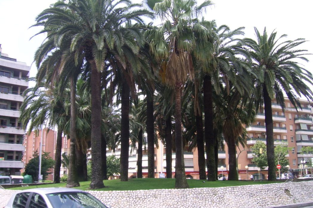 7.Imagini din Taragona